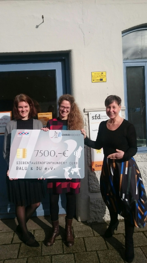 Spendenscheck BKE Fislage 2020